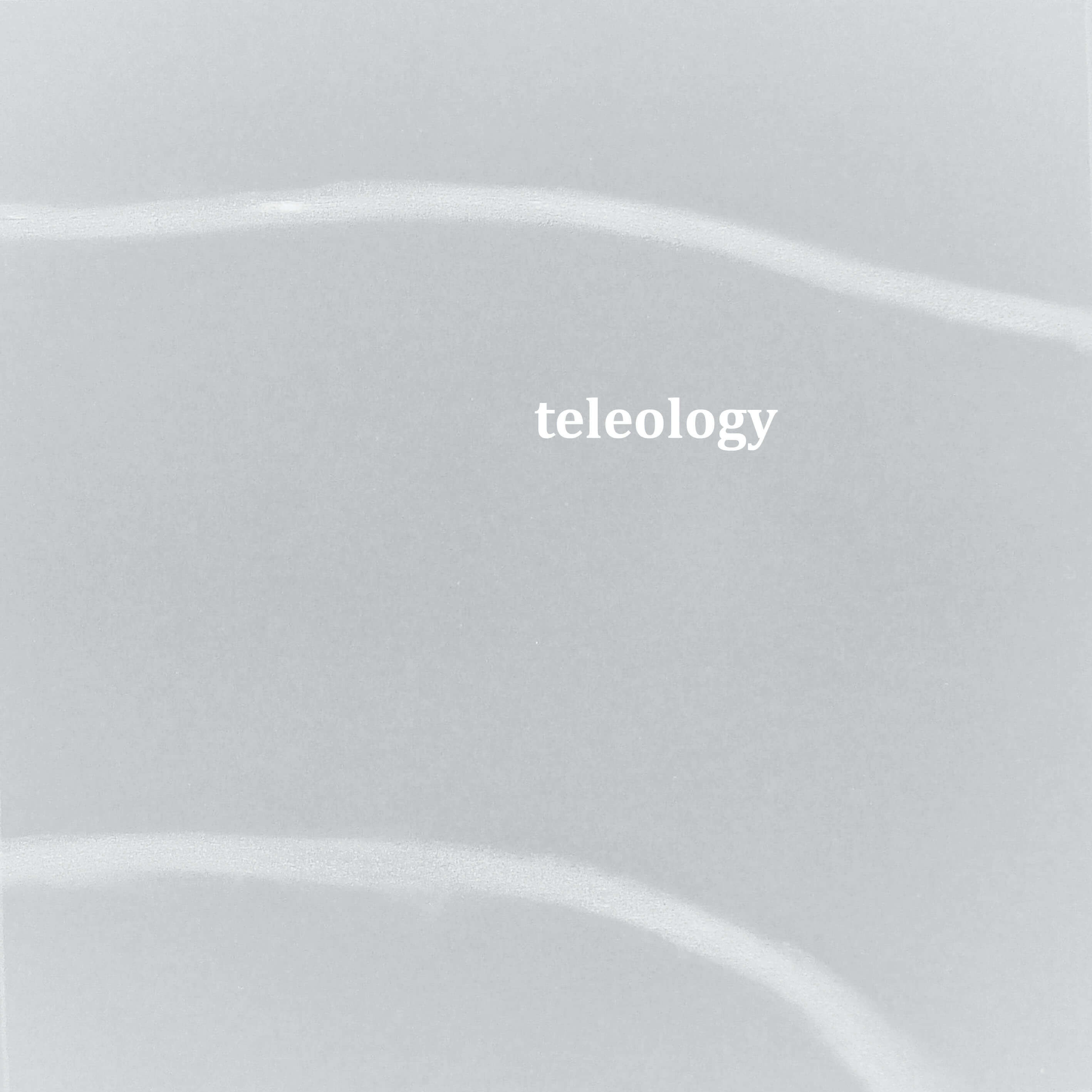 rachela abbate 07_-teleology-x-stampa the truth of virtuality  