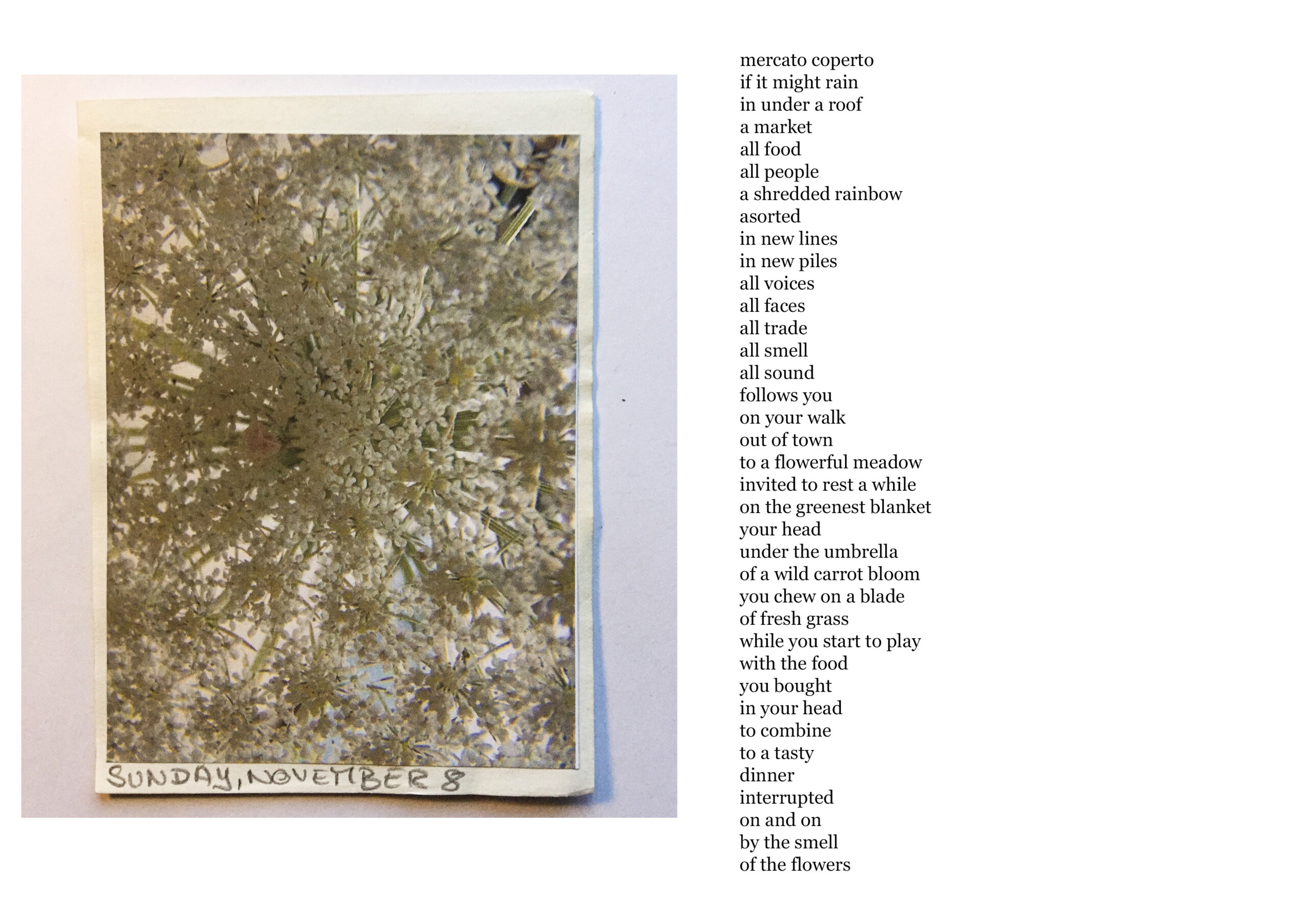 rachela abbate Calendar-2020-8-November-with-poem-by-Christian-Hüls-copie-scaled christian hüls: poems by days 